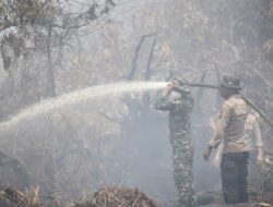 Kapolda Riau dan Pangdam Tuanku Tambusai Patroli Udara Karhutla, Turun Langsung Padamkan Api di Pelalawan