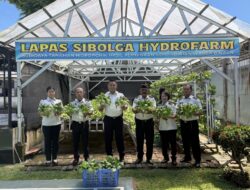 Lapas Sibolga Panen 65 Kg Pakcoy, Wujudkan Pembinaan Kemandirian Berbasis Ketahanan Pangan