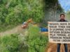 Negara Hanya Berani Bakar Tenda Rakyat Di Geumpang Sementara Ratusan Ekskavator Milik Pemodal Asing Dibiarkan Mengeruk Hutan Lindung
