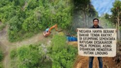 Negara Hanya Berani Bakar Tenda Rakyat Di Geumpang Sementara Ratusan Ekskavator Milik Pemodal Asing Dibiarkan Mengeruk Hutan Lindung