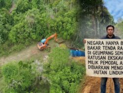 Negara Hanya Berani Bakar Tenda Rakyat Di Geumpang Sementara Ratusan Ekskavator Milik Pemodal Asing Dibiarkan Mengeruk Hutan Lindung